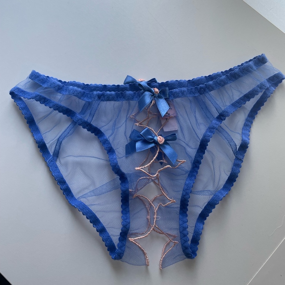 Agent Provocateur NWOT panty. Size 2